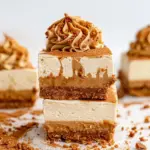 No Bake Biscoff Cheesecake Bars