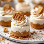 No Bake Mini Biscoff Cheesecakes